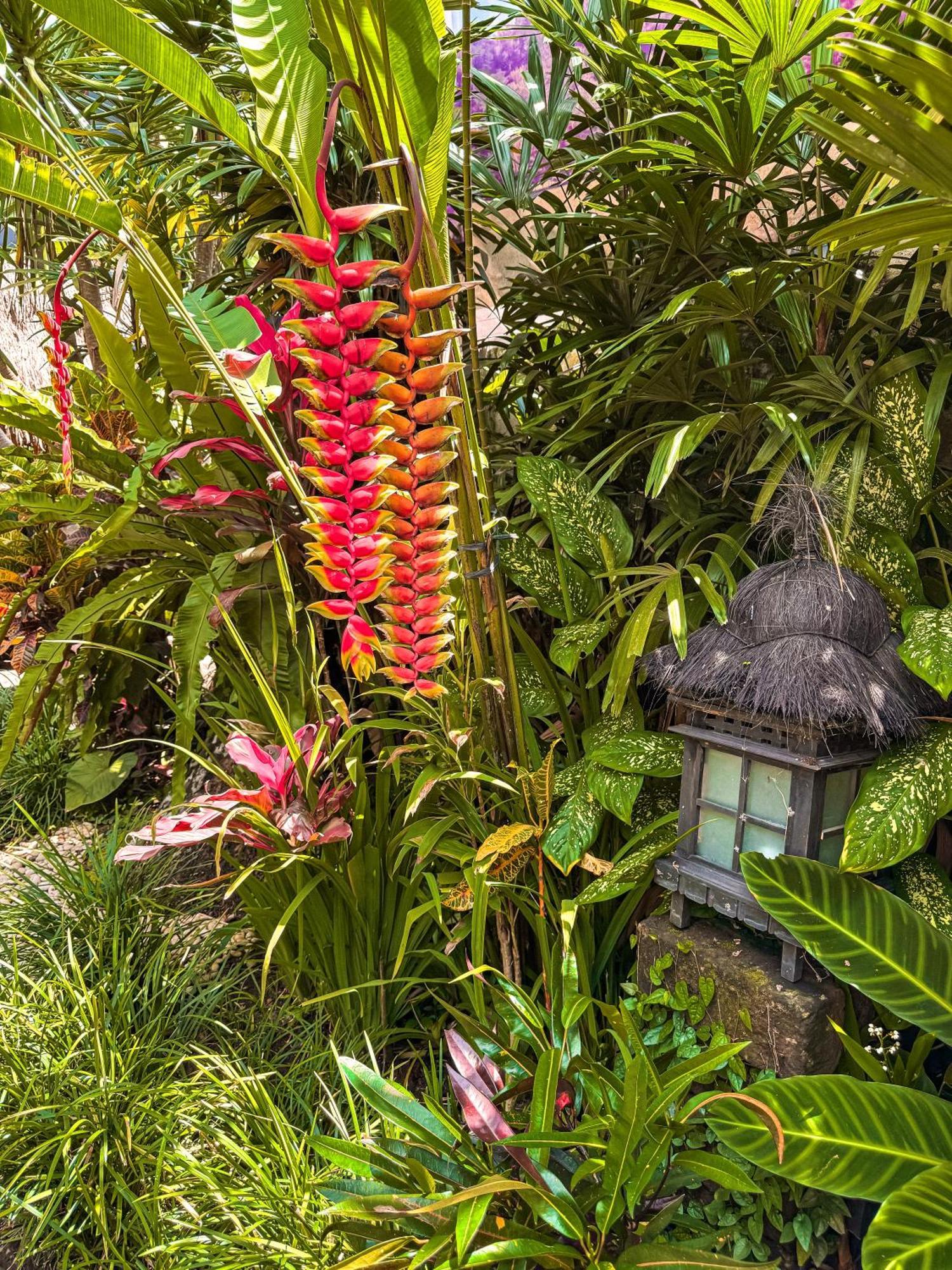 Bali Maison Убуд Экстерьер фото
